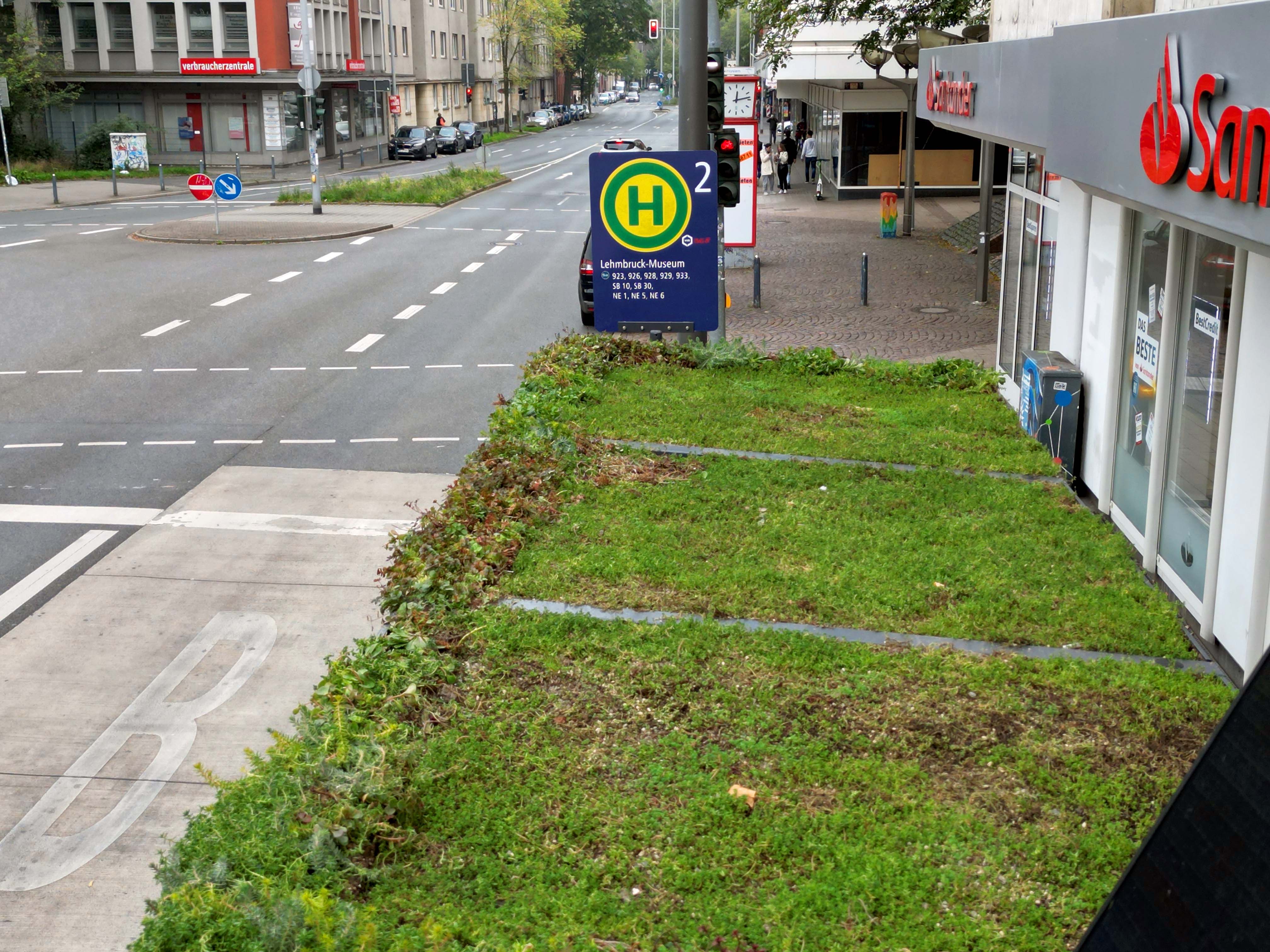 Begrüntes Dach einer DVG-Wartehalle an der Haltestelle Lehmbruck-Museum in Duisburg.