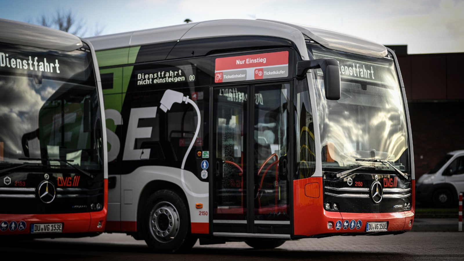 Vorderansicht zweier DVG-Elektrobusse.