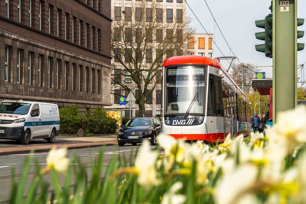 DVG-Straßenbahn an der Haltestelle Tausendfensterhaus in Duisburg-Ruhrort
