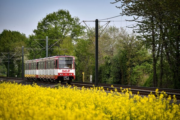 DVG-Stadtbahnlinie U79 zwischen Duisburg und Düsseldorf am Rapsfeld