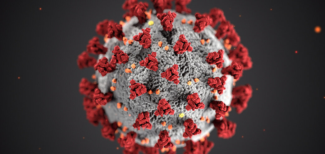 Eine computergenerierte Darstellung des Coronavirus